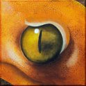 Augenblick eines glatten Knopfschwanzgeckos Acryl auf Leinwand;
30 x 30 cm